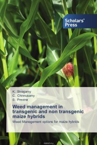 Weed management in transgenic and non transgenic maize hybrids