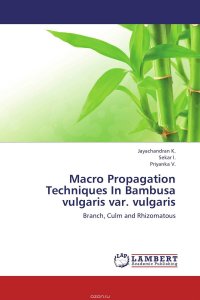 Macro Propagation Techniques In Bambusa vulgaris var. vulgaris