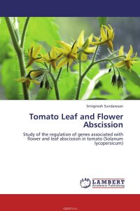 Tomato Leaf and Flower Abscission