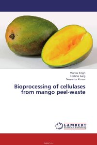 Bioprocessing of cellulases from mango peel-waste