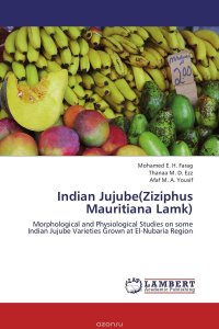 Indian Jujube(Ziziphus Mauritiana Lamk)