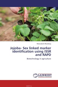 Jojoba- Sex linked marker identification using ISSR and RAPD