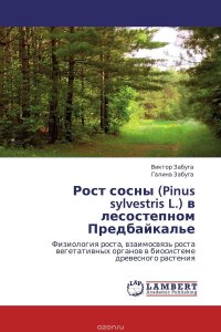 Рост сосны (Pinus sylvestris L.) в лесостепном Предбайкалье