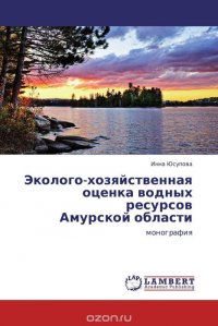 Эколого-хозяйственная оценка водных ресурсов Амурской области