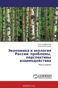 Экономика и экология России: проблемы, перспективы взаимодействия