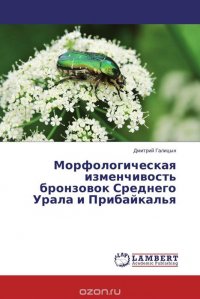 Морфологическая изменчивость бронзовок Среднего Урала и Прибайкалья