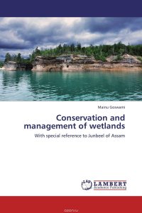 Conservation and management of wetlands