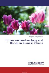 Urban wetland ecology and floods in Kumasi, Ghana