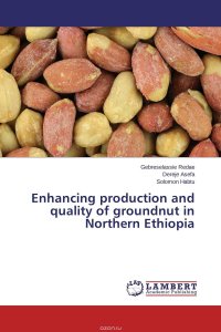 Enhancing production and quality of groundnut in Northern Ethiopia