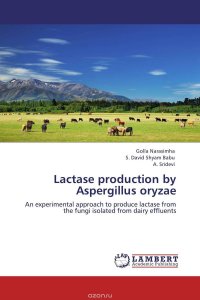 Lactase production by Aspergillus oryzae