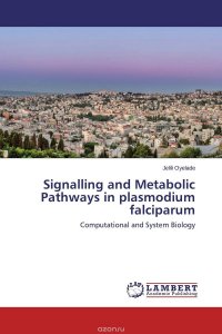 Signalling and Metabolic Pathways in plasmodium falciparum