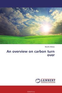 An overview on carbon turn over