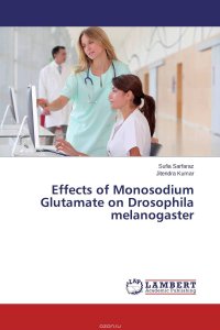 Effects of Monosodium Glutamate on Drosophila melanogaster