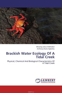 Brackish Water Ecology Of A Tidal Creek