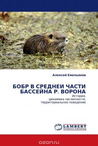 БОБР В СРЕДНЕЙ ЧАСТИ БАССЕЙНА Р. ВОРОНА