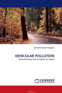 Santosh Kumar Prajapati - «VEHICULAR POLLUTION»