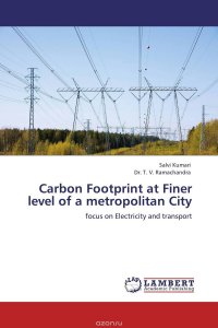 Carbon Footprint at Finer level of a metropolitan City