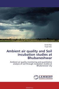 Ambient air quality and Soil incubation studies at Bhubaneshwar