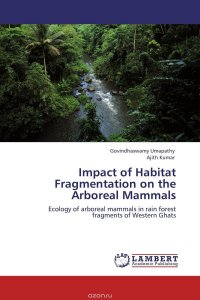 Impact of Habitat Fragmentation on the Arboreal Mammals