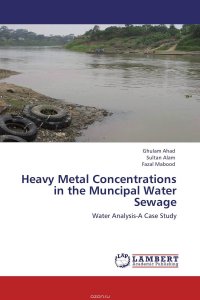 Heavy Metal Concentrations in the Muncipal Water Sewage