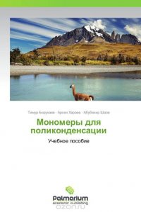 Тимур Борукаев, Арсен Хараев und Абубекир Шаов - «Мономеры для поликонденсации»