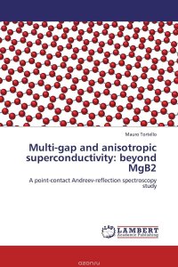 Multi-gap and anisotropic superconductivity: beyond MgB2