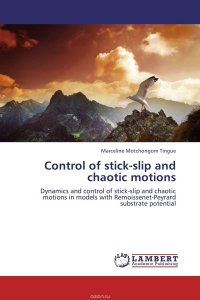 Marceline Motchongom Tingue - «Control of stick-slip and chaotic motions»