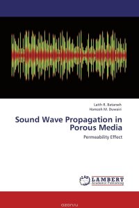 Sound Wave Propagation in Porous Media