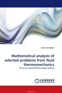 Mathematical analysis of selected problems from fluid thermomechanics