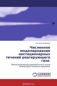 Численное моделирование нестационарных течений реагирующего газа