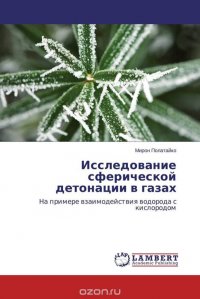 Исследование сферической детонации в газах