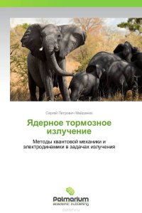 Сергей Петрович Майданюк - «Ядерное тормозное излучение»