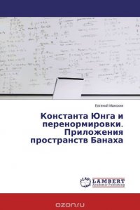 Константа Юнга и перенормировки. Приложения пространств Банаха