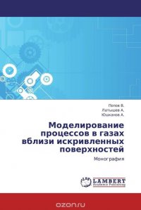 Моделирование процессов в газах вблизи искривленных поверхностей