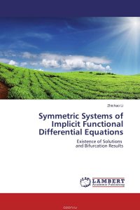 Symmetric Systems of Implicit Functional Differential Equations