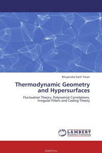 Thermodynamic Geometry and Hypersurfaces