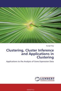 Clustering, Cluster Inference and Applications in Clustering