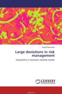 Large deviations in risk management