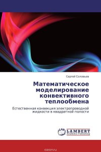 Математическое моделирование конвективного теплообмена