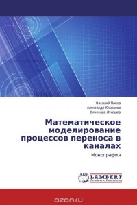 Математическое моделирование процессов переноса в каналах