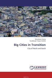 Big Cities in Transition