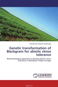 Genetic transformation of Blackgram for abiotic stress tolerance