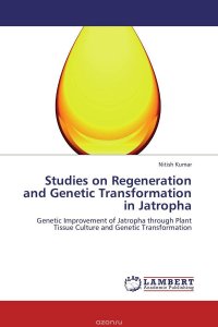 Studies on Regeneration and Genetic Transformation in Jatropha