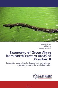 Taxonomy of Green Algae from North-Eastern Areas of Pakistan: II