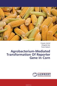 Faryam Ashraf, Shagufta Naz and Faiza Saleem - «Agrobacterium-Mediated Transformation Of Reporter Gene In Corn»