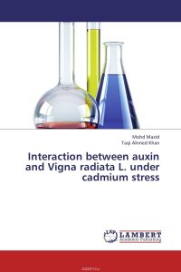 Interaction between auxin and Vigna radiata L. under cadmium stress