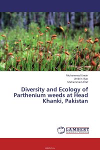 Diversity and Ecology of Parthenium weeds at Head Khanki, Pakistan