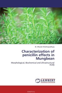 Characterization of penicillin effects in Mungbean