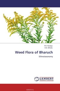 Weed Flora of Bharuch