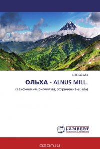 ОЛЬХА - ALNUS MILL